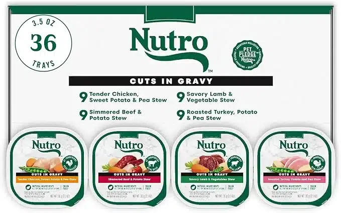 Best Dog Food for Maltipoos (Vet-Recommended & Tested!)