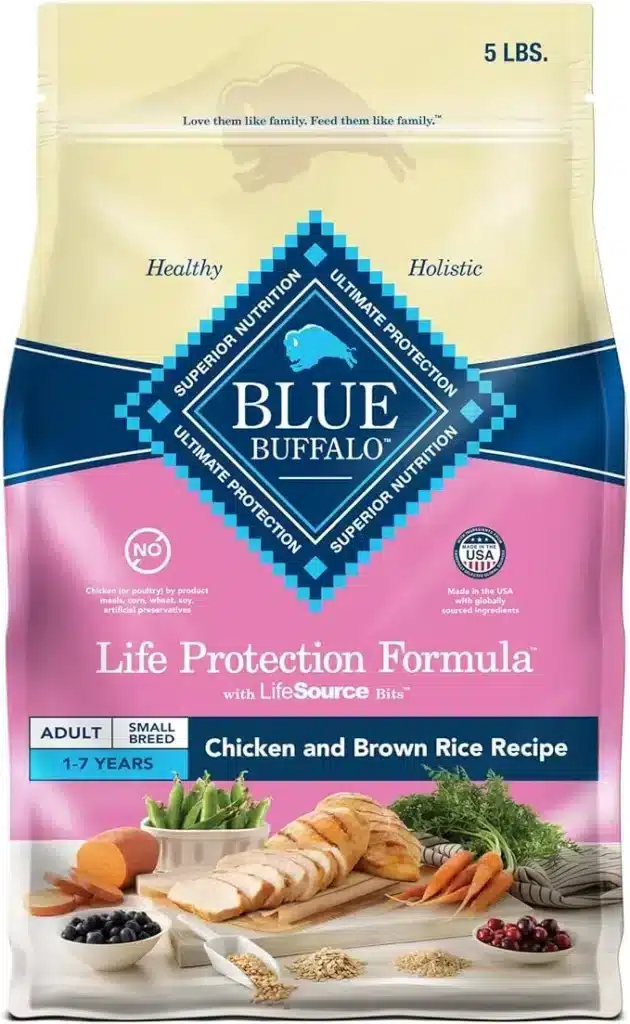 Best Dog Food for Maltipoos (Vet-Recommended & Tested!)