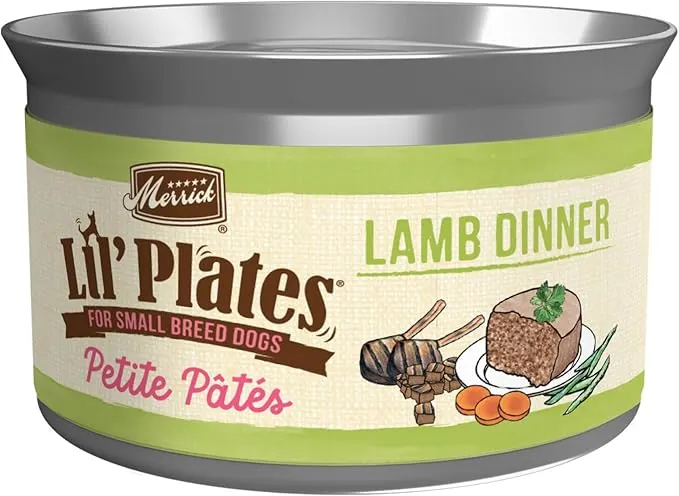 Best Dog Food for Maltipoos (Vet-Recommended & Tested!)